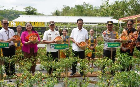 Lumbung Mataraman Kedungpoh Gunungkidul Panen Perdana