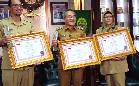 Berawal Gelimasjiwo, Bantul Raih Penghargaan Nasional Penanganan ODGJ