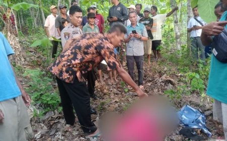 Dua Lansia Meninggal setelah Terjatuh dari Pohon