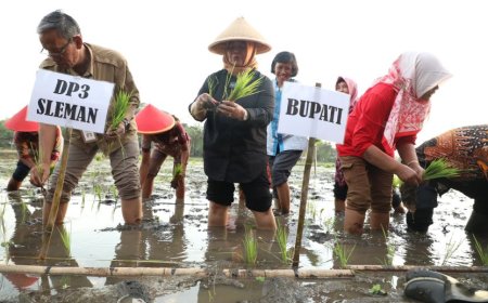 Bupati Berupaya Mempertahankan Predikat Sleman Gudang Beras DIY