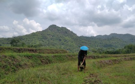 Kisah Petani Tadah Hujan, Desember Biasanya Matun