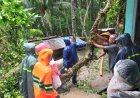 Lima Rumah Rusak Tertimpa Pohon Tumbang dan Longsor