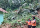Pohon Tumbang dan Tanah Longsor Merusak 14 Rumah
