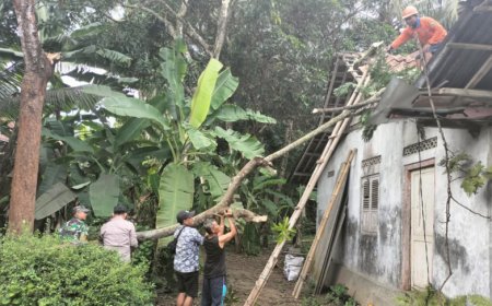 Hujan Derasm Dua Rumah di Kebumen Tertimpa Pohon Tumbang