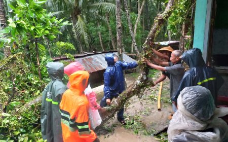Lima Rumah Rusak Tertimpa Pohon Tumbang dan Longsor
