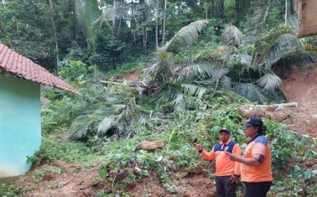Pohon Tumbang dan Tanah Longsor Merusak 14 Rumah