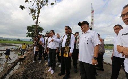 Menteri Pertanian Memastikan Kesiapan Musim Tanam