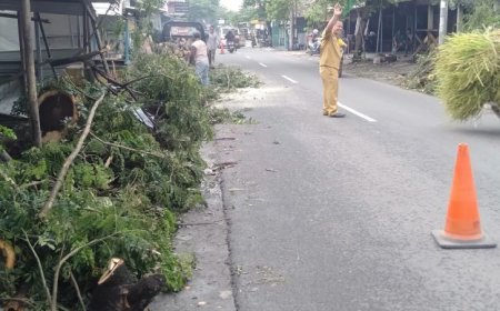 Hujan Deras Disertai Angin Kencang Mengakibatkan Pohon Tumbang dan Saluran Tersumbat Sampah