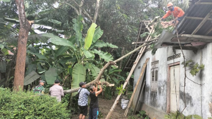 Hujan Derasm Dua Rumah di Kebumen Tertimpa Pohon Tumbang