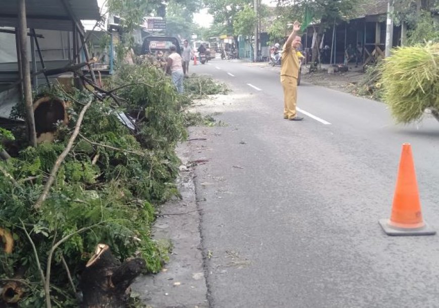 Hujan Deras Disertai Angin Kencang Mengakibatkan Pohon Tumbang dan Saluran Tersumbat Sampah