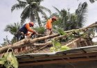 14 Rumah Rusak Tertimpa Pohon Tumbang