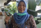 Pasar Murah Semar Mesem, Upaya TPID Sleman Melakukan Stabilisasi Harga Beras