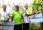 PLN EPI Menanam 50 Ribu Bibit Pohon untuk Pakan Ternak