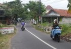 Lancarkan Lalin Sekarsuli-Senden, Jembatan Sekarsuli Diperlebar