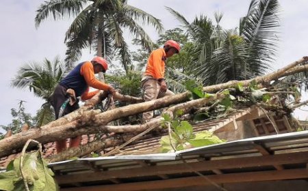14 Rumah Rusak Tertimpa Pohon Tumbang