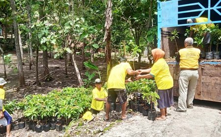 Petani di Gunungkidul dan Bantul Antusias Menerima Bibit Alpukat Unggul dari Arnanto