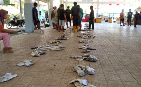 Nelayan Pasir Kebumen Panen Bawal Putih, Ada yang Berpenghasilan Rp 15 Juta Sekali Tangkap