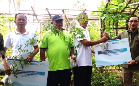 PLN EPI Menanam 50 Ribu Bibit Pohon untuk Pakan Ternak