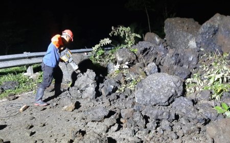 Tebing Batu Longsor, Jalan Provinsi di Sempor Sempat Tak Bisa Dilewati