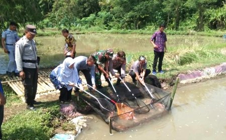 Budi Daya Nila dengan Kincir Air Hasilnya Empat Kali Lipat