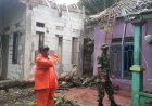 Hujan Deras Disertai Angin Kencang Merobohkan Puluhan Pohon