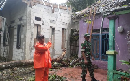 Hujan Deras Disertai Angin Kencang Merobohkan Puluhan Pohon