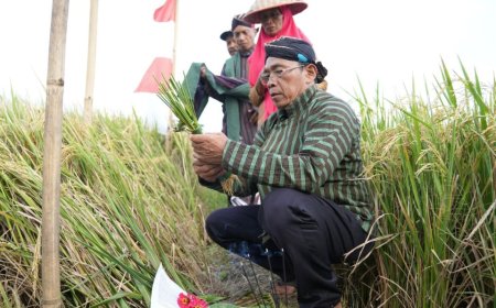 Petani di Moyudan Sleman Melestarikan Tradisi Wiwitan