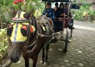 Untoro Hariadi Naik Andong Mendaftar Calon Bupati ke Partai Golkar