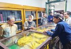 Keraton Yogyakarta Minati Koleksi Perpusnas Terkait Peta Pertanahan
