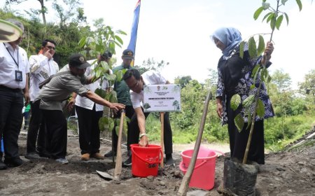 Gubernur DIY Mencanangkan Rehabilitasi Lahan Kawasan Penyangga Gunung Merapi