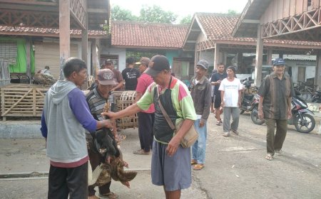 Harga Unggas di Kebumen Naik Sampai 50 Persen