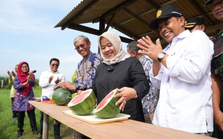 Bupati Sleman Dorong Peningkatan Produk Pertanian Unggul