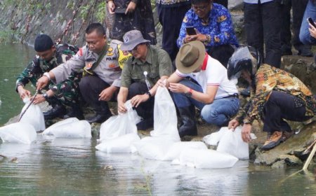 Telaga di Gunungkidul Kini Beralih Fungsi