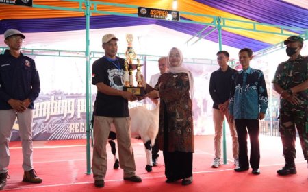 Kontes Kambing PE Digelar di Candi Kedulan Sleman