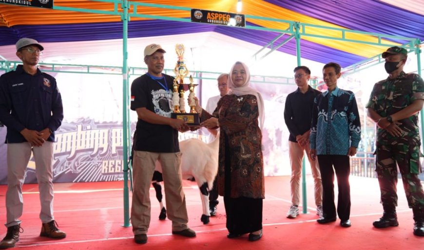 Kontes Kambing PE Digelar di Candi Kedulan Sleman