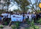 Gameloft Indonesia dan Pokdarwis Tanam Pandan Laut di Pantai Goa Cemara