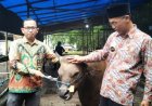 SM Farm Inovasi Baru Muhammadiyah di Sektor Peternakan