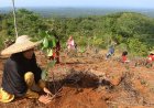 Dukung Pemulihan 82,1 Ha Lahan Kritis, Telkom Melakukan Penanaman 33.800 Bibit Pohon