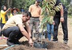 Warga Sulap Lahan Bekas Galian Tanah Liat di Godean Menjadi Kebun Durian
