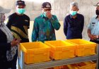 Sampah Diolah Jadi Pakan Ikan