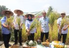 Kustini Sebut Petani Pahlawan Ketahanan Pangan