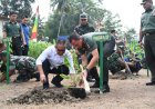 Budi Daya Pisang Cavendish Menarik Perhatian Pangdam