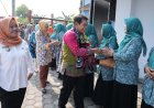Kepincut Inovasi Triharjo, Tim Penilai Klarifikasi Lapangan EPDesKel DIY Cek Lapangan
