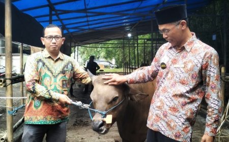 SM Farm Inovasi Baru Muhammadiyah di Sektor Peternakan