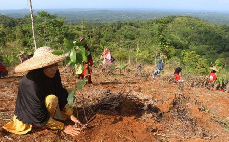 Dukung Pemulihan 82,1 Ha Lahan Kritis, Telkom Melakukan Penanaman 33.800 Bibit Pohon