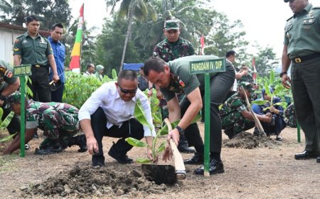 Budi Daya Pisang Cavendish Menarik Perhatian Pangdam