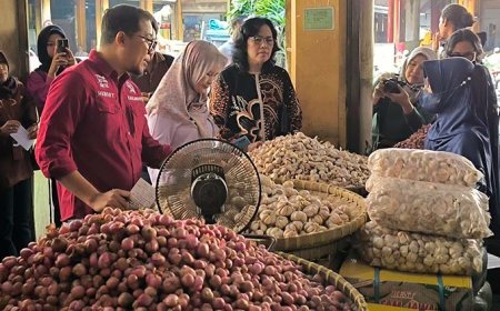 KPPU Telusuri Faktor Pemicu Tingginya Harga Bawang Putih