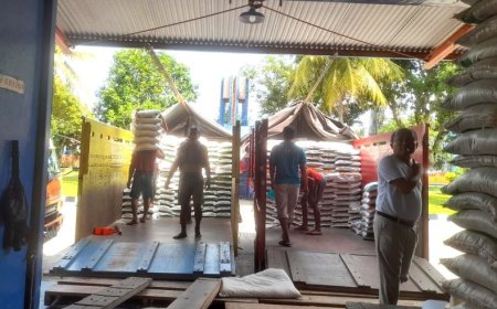 Bantuan Pangan Beras Sebagian Memanfaatkan Beras Lokal