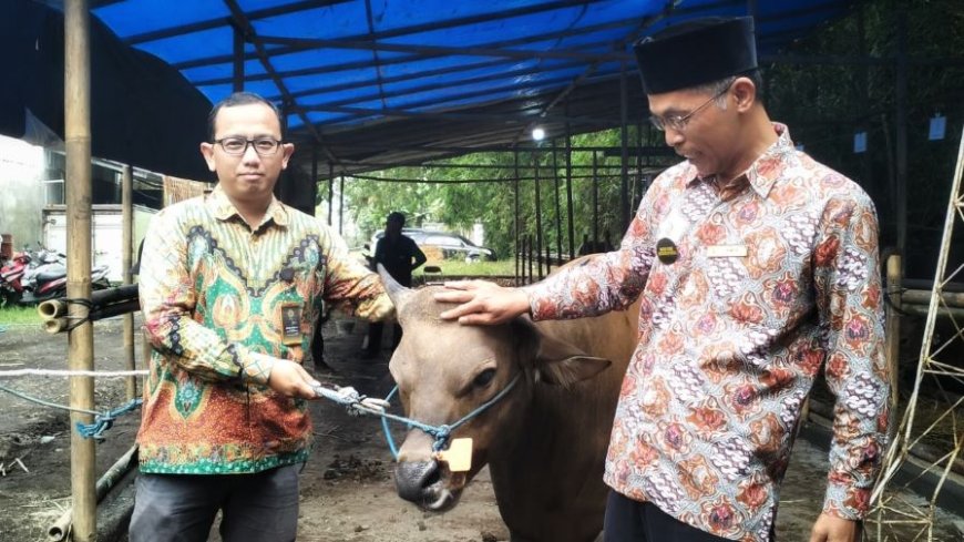 SM Farm Inovasi Baru Muhammadiyah di Sektor Peternakan