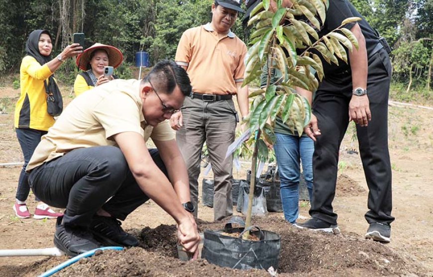 Warga Sulap Lahan Bekas Galian Tanah Liat di Godean Menjadi Kebun Durian